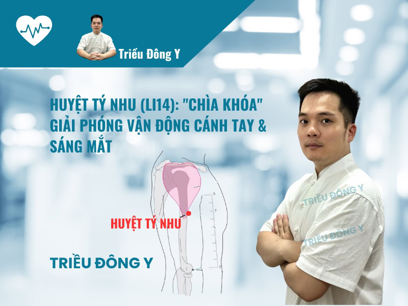 Huyệt Tý Nhu (臂臑穴 – LI14): Vị trí, Tác dụng, Ứng dụng Điều trị