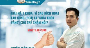 GIẢI MÃ Y KHOA: VÌ SAO KÍCH HOẠT LAO CUNG (PC8) LÀ "CHÌA KHÓA VÀNG" CHO TRẺ CHẬM NÓI?