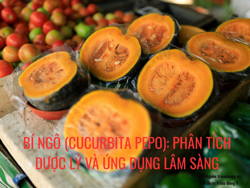 Bí Ngô (Cucurbita pepo) 2 Phân tích dược lý chuyên sâu về bí ngô (Cucurbita pepo). Hiểu rõ cơ chế phytosterol ức chế enzym 5α-reductase, và các ứng dụng lâm sàng trong hỗ trợ phì đại tuyến tiền liệt.