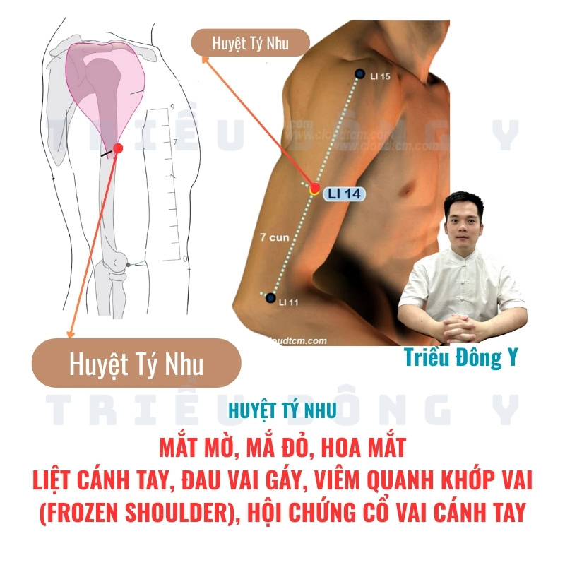 Tác dụng tại chỗ và tác dụng theo đường kinh của huyệt Tý Nhu