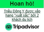Tripadvisor Triều Đông Y