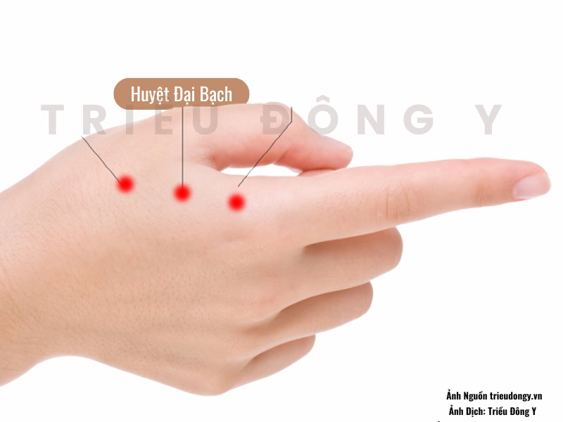 Huyệt Đại Bạch nằm tại vị trí ở nào? Cách xác định huyệt Đại Bạch chính xác nhất