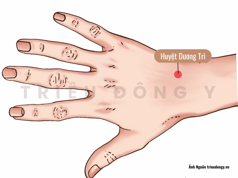 Cẩm nang về huyệt Dương Trì: Xác định vị trí trên lằn chỉ cổ tay, tác dụng thông kinh hoạt lạc và lưu ý khi ôn cứu để trị liệu bệnh lý cơ xương khớp