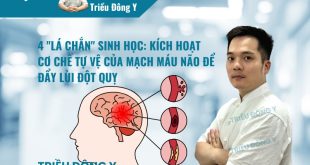Hướng dẫn 4 động tác đơn giản giúp phòng ngừa đột quỵ ngay tại nhà