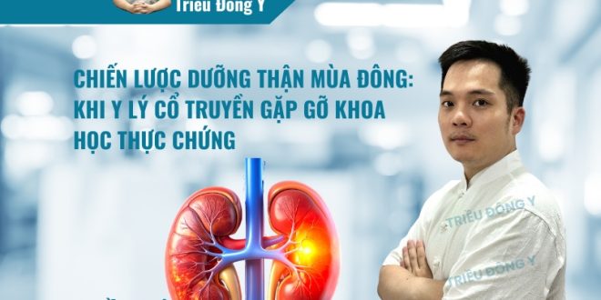 Dưỡng Thận Vào Mùa Đông Chiến Lược Đúng Thế Nào?