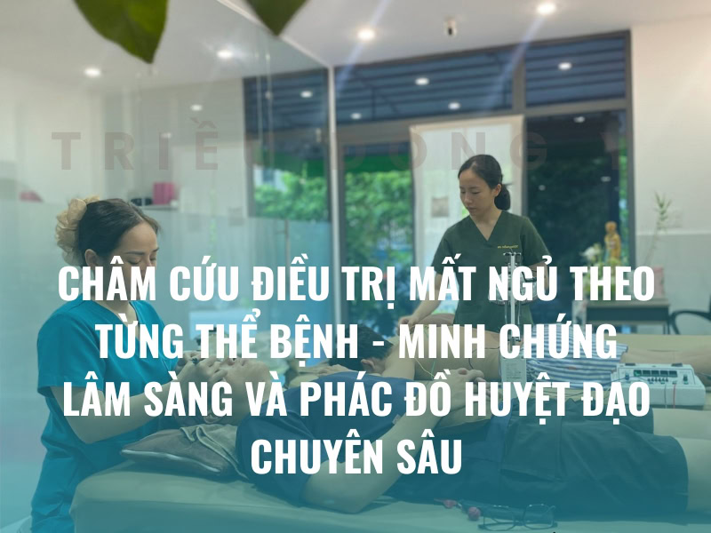 Giải Mã Khoa Học: Châm Cứu Điều Trị Mất Ngủ Theo Từng Thể Bệnh - Minh Chứng Lâm Sàng và Phác Đồ Huyệt Đạo Chuyên Sâu