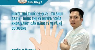 Huyệt Thổ Thủy (土水穴 - 22.11): Vị trí, Tác dụng, Ứng dụng Điều trị