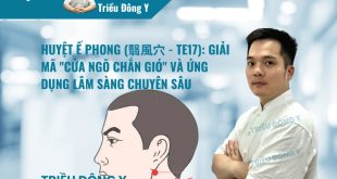 Huyệt Ế Phong (翳風穴 – TE17): Vị trí, Tác dụng, Ứng dụng Điều trị