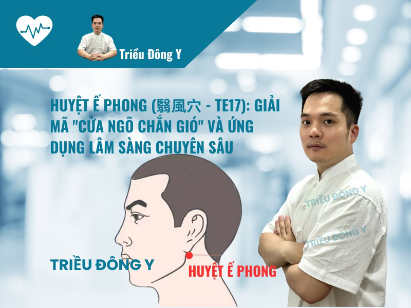 Huyệt Ế Phong (翳風穴 – TE17): Vị trí, Tác dụng, Ứng dụng Điều trị