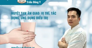Huyệt Tam Âm Giao: Vị trí, Tác dụng, Ứng dụng Điều trị