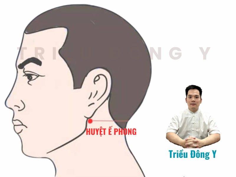 Huyệt Ế Phong nằm giữa xương chũm và hàm dưới