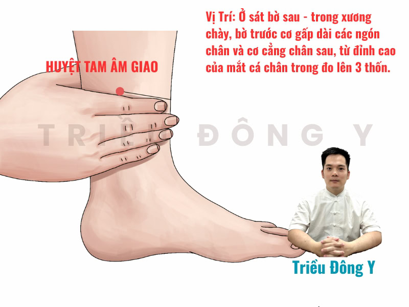 Huyệt Tam Âm Giao 3 Vị trí và cách xác định vị trí huyệt tam âm giao