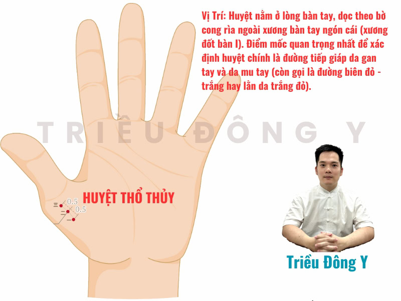 Cách xác định vị trí chính xác huyệt Thổ Thủy