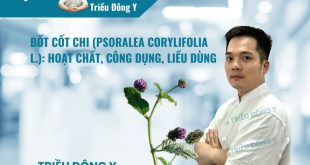 Bốt Cốt Chi (Phá cố chỉ - Psoralea Corylifolia L.): Hoạt chất, Công dụng, Liều dùng