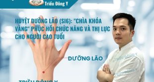 Tìm hiểu vị trí huyệt Dưỡng Lão giúp thông kinh hoạt lạc và điều hòa khí huyết. Ứng dụng huyệt vị này trong điều trị vẹo cổ, giảm thị lực và đau dây thần kinh