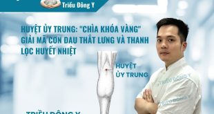 Huyệt Ủy Trung (委中穴): Vị trí, Tác dụng, Ứng dụng Điều trị