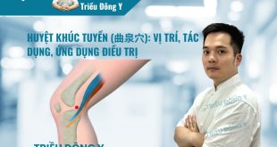 Huyệt Khúc Tuyền (曲泉穴): Vị trí, Tác dụng, Ứng dụng Điều trị