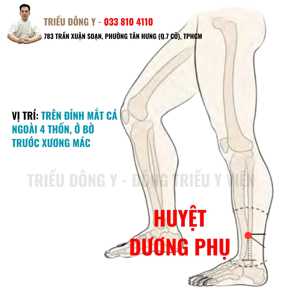 Huyệt Dương Phụ 3 Vị trí huyệt Dương Phụ