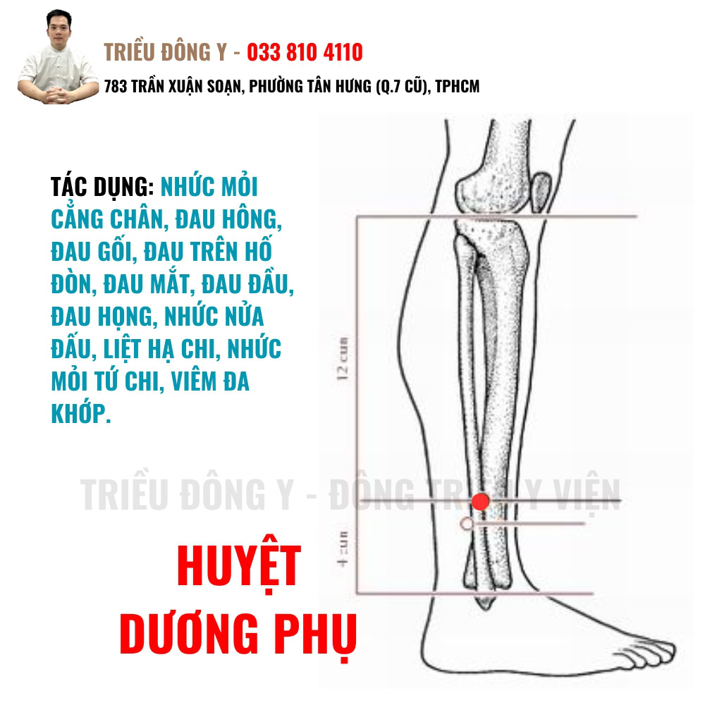 Huyệt Dương Phụ 4 Tác dụng của huyệt Dương Phụ
