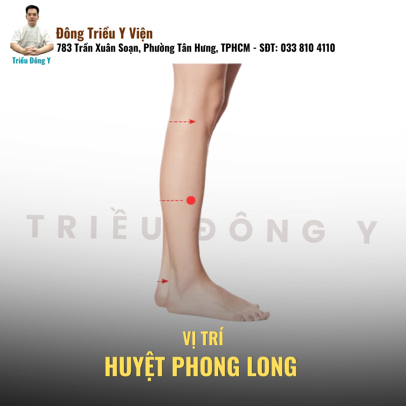 Ý Nghĩa Tên Huyệt Phong Long