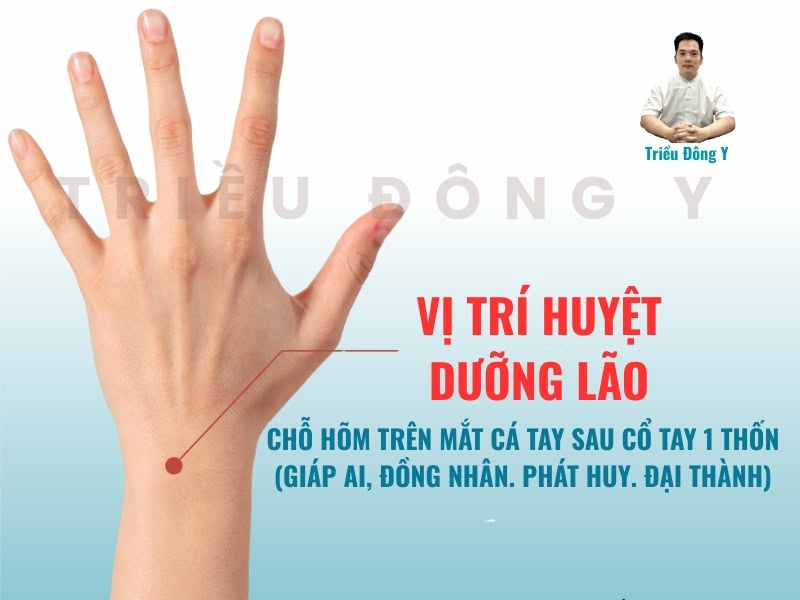 Xác định vị trí của huyệt dưỡng lão