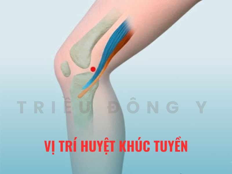 Vị Trí Huyệt Khúc Tuyền