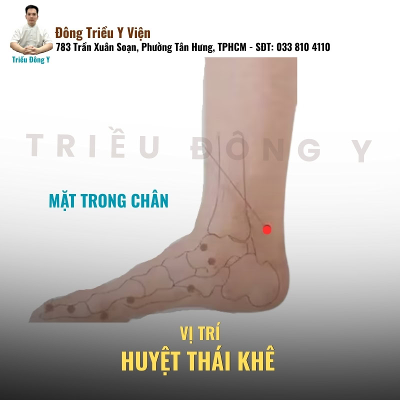 Huyệt Thái Khê nằm tại vùng lõm gót chân, đóng vai trò Nguyên huyệt quan trọng. Tác dụng điều hòa khí huyết, hỗ trợ trị thận hư và các bệnh lý về xương khớp