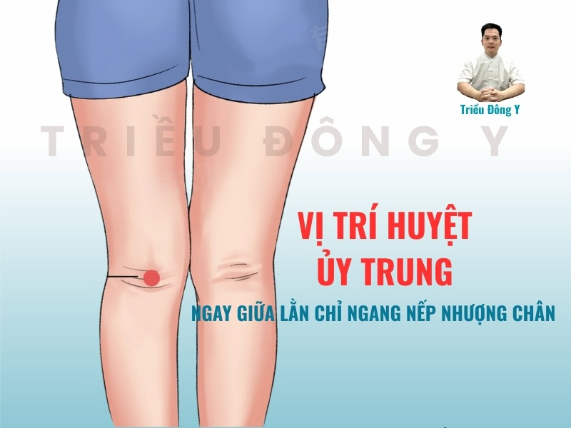 Vị trí huyệt ủy trung