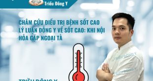 Điều trị sốt cao bằng châm cứu tập trung vào tả nhiệt độc ở kinh Dương minh. Sử dụng hào châm tại huyệt vị trọng yếu giúp khai khiếu, hạ sốt và lưu thông khí huyết