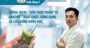 Khám phá Sacha inchi với Tocopherols và Phytosterols dồi dào. Bài viết chi tiết về hoạt chất, liều dùng giúp tối ưu tỉ lệ vàng Omega 3-6-9 cho sức khỏe tim mạch.