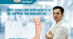 Huyệt Dương Lăng Tuyền (阳陵穴): Vị trí, Tác dụng, Ứng dụng Điều trị
