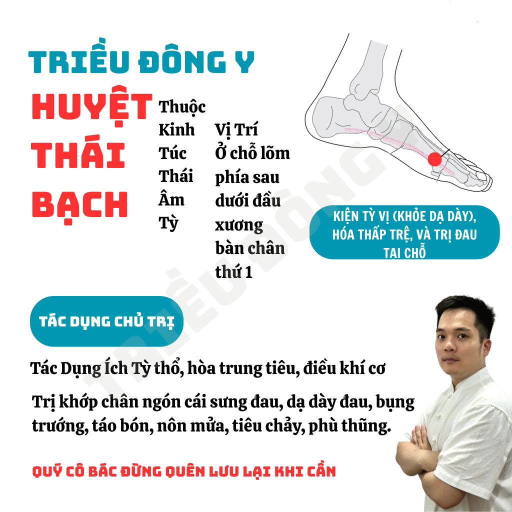 Huyệt Thái Bạch là Nguyên huyệt quan trọng giúp ích khí, kiện tỳ. Hướng dẫn cách xác định vị trí và ứng dụng trị thấp khớp, đầy bụng, túc thái âm