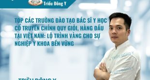 Danh sách trường đào tạo Bác sĩ Y học cổ truyền uy tín. Học viên được nghiên cứu sâu về Học thuyết âm dương, Kinh lạc học và phương pháp Biện chứng luận trị