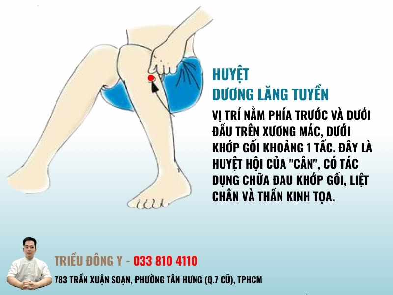 Huyệt Dương Lăng Tuyền 4 Tác dụng huyệt dương lăng tuyền