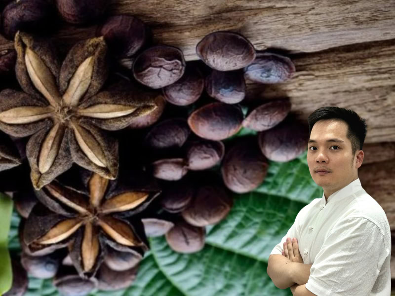 Sacha inchi: Hoạt chất, Công dụng, Liều dùng, Lưu ý 10 Hạt cây Sacha inchi