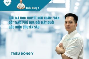 Ứng dụng Học thuyết Ngũ Luân trong Đông y. Phân tích sự tương ứng giữa ngũ luân và ngũ tạng giúp xác định căn nguyên bệnh lý mắt từ sự mất cân bằng âm dương