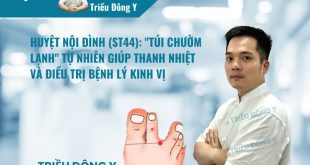 Huyệt Nội Đình nằm tại kẽ ngón chân, là điểm trọng yếu để giáng nghịch khí Vị. Ứng dụng điều trị liệt mặt, viêm lợi và các chứng tích trệ thực phẩm hiệu quả