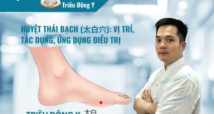 Khám phá Huyệt Thái Bạch: Huyệt Thổ trong Thổ giúp thanh nhiệt, hòa trung, hỗ trợ hệ tiêu hóa và cân bằng chức năng tạng phủ cho cơ thể bền bỉ