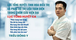 Lục Tổng Huyệt: Tinh Hoa Điều Trị Và Phác Đồ Trị Liệu Toàn Diện Trong Châm Cứu Hiện Đại