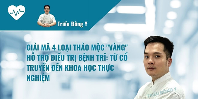 4 loại thảo dược hỗ trợ điều trị bệnh trĩ