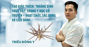 Vị Thuốc Tạo Giác Thích: Hoạt chất, Tác dụng, Liều dùng